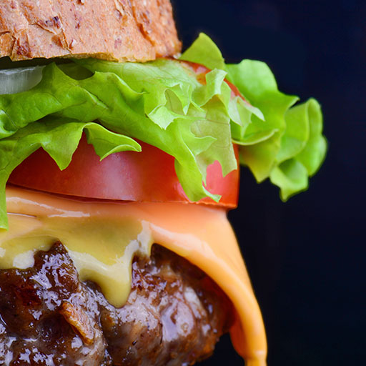 image of a burger in a bun
