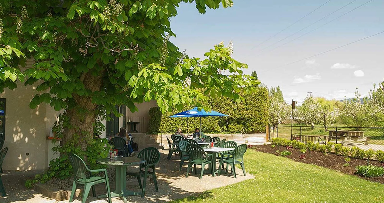 Sunny patio seating at McCulloch Station Pub with lush green surroundings and picnic-style tables